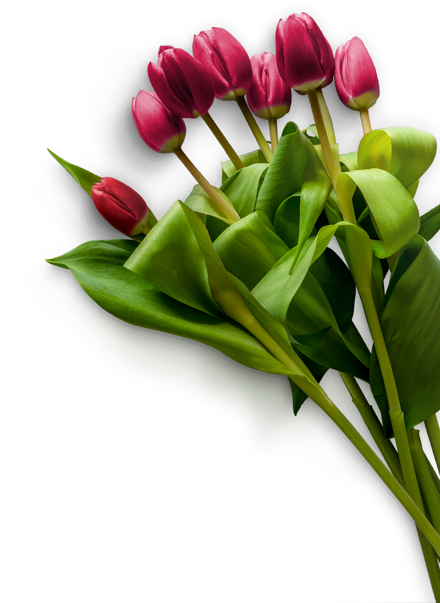 red rose bunch