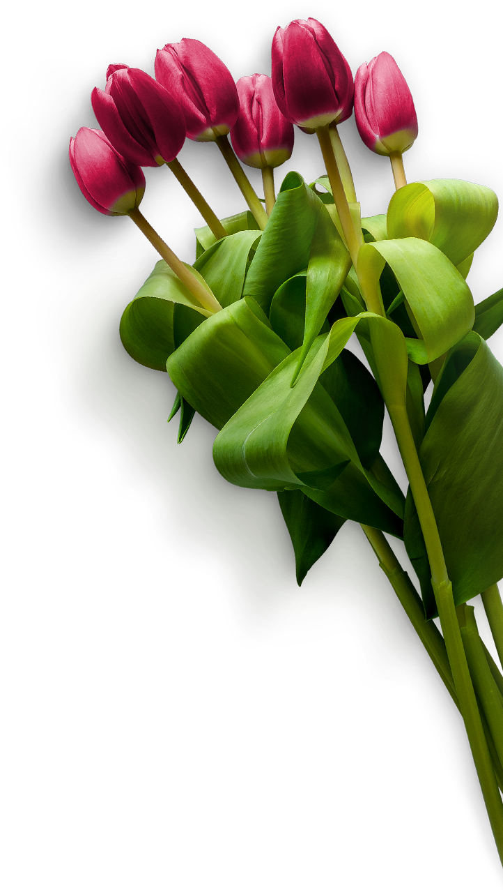 red rose bunch