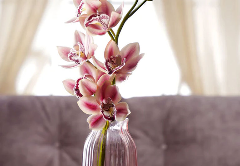 shop stems